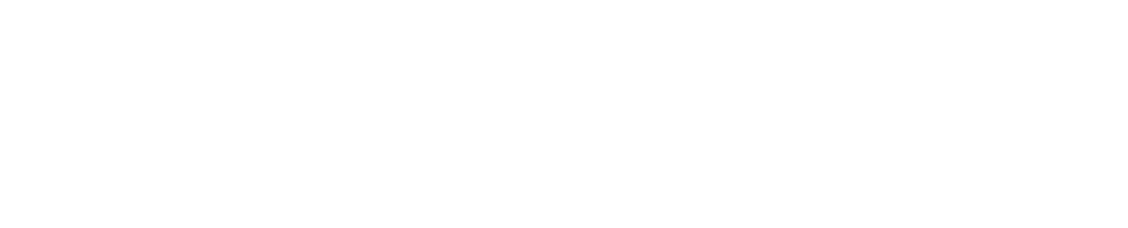 Vortex Doors of Tampa logo